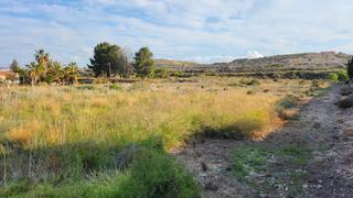 Terreny residencial a Novelda. Parcela urbana en novelda