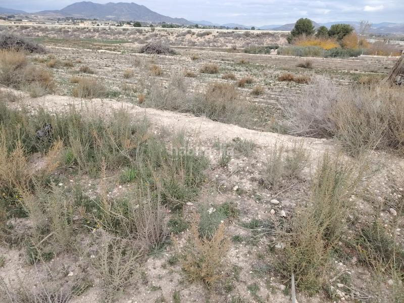 Foto 91a25b0b-625a-4702-ae17-62d193770a5b. Casa  de campo en Novelda