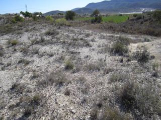 Gebäude in Hondón de las Nieves. Terreno con almacen en construccion