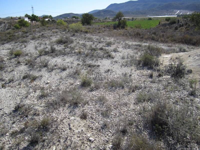 Foto f5b2d75b-e053-44eb-9538-53e822a30a02. Edifici a Hondón de las Nieves