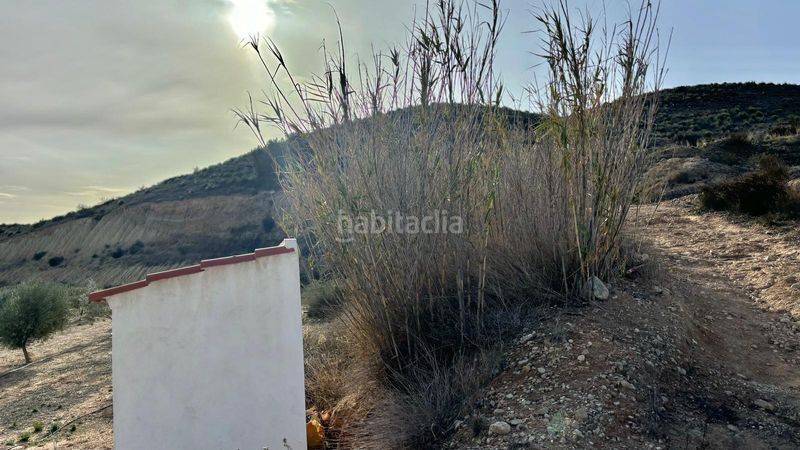 Foto 3a19113e-0eed-498c-ad62-f3ca0f9cc1cd. Finca rústica a Pedanías Este Aspe