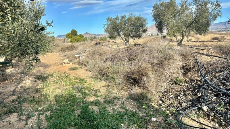 Foto 6f3f90eb-2060-42b3-ae35-d4d0612b9637. Finca rústica a Pedanías Este Aspe