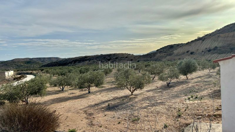 Foto dc1762e3-5d70-4c0a-8567-33c05644fc2b. Finca rústica a Pedanías Este Aspe
