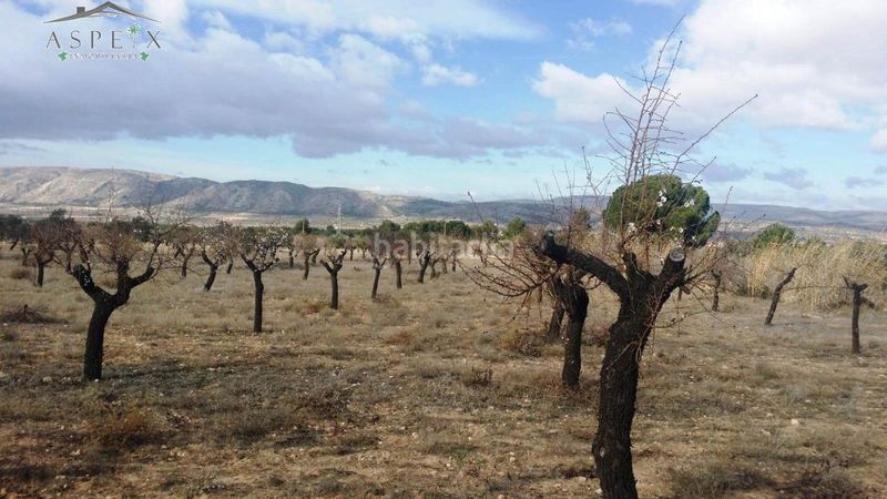 Foto 007fa6a1-b27b-4891-b3f8-28a4ff05da7a. Finca rústica a Biar