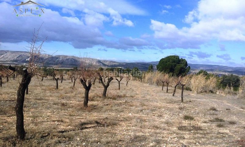 Foto 44189262-4e09-44a2-bcb5-5ca8360391ae. Finca rústica a Biar