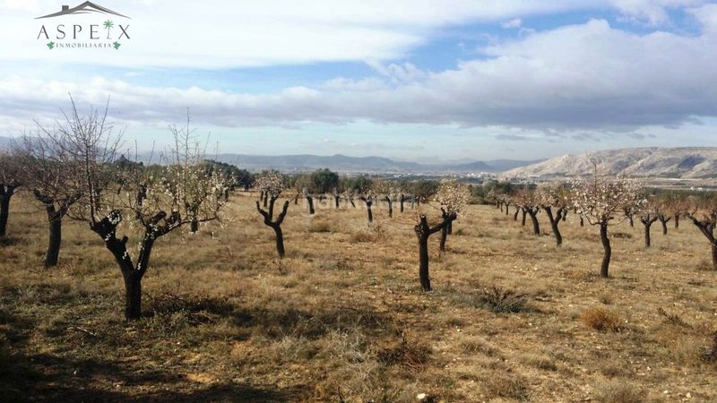 Foto c2a6ddbd-e387-4d9f-b580-87097ce314f1. Finca rústica a Biar