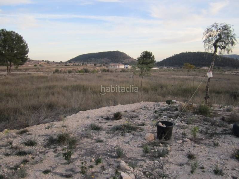 Foto 41ce577c-8cb4-4b1d-b884-7b1662da3ba5. Casa a Romana (la)