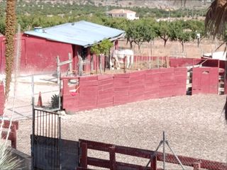 Masia a La Murada - Los Vicentes