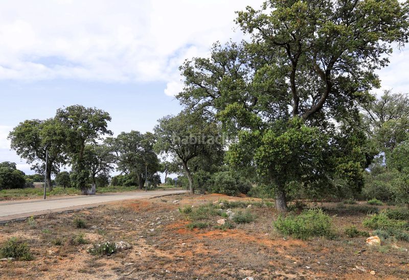 Foto 3e2dc326-0c33-4936-813a-ef65418c3f22. Xalet amb calefacció a Chiloeches