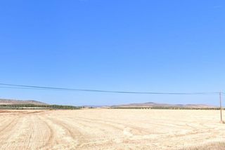 Finca rústica a Esquivias. Terreno rústico en esquivias