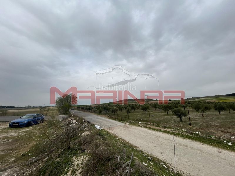 Foto 02eb798e-80b2-4bc3-8c8b-44ddf266063b. Finca rústica a Seseña nuevo Seseña