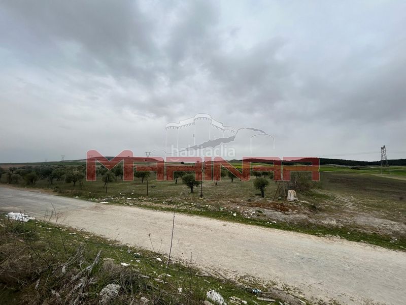 Foto 610cba96-ebb1-4094-a5de-fcb02616b8cf. Finca rústica a Seseña nuevo Seseña