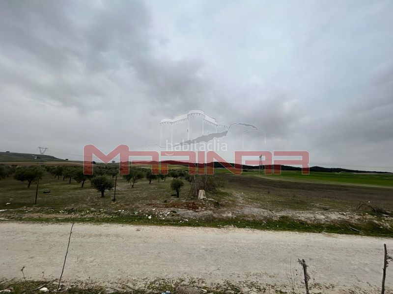 Foto 69f09fb0-d1e1-46a8-8d1d-790a23ac48b0. Finca rústica a Seseña nuevo Seseña