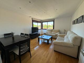 Rent Flat in Centro-Corte Inglés