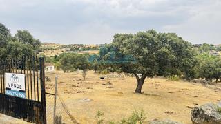 Finca rústica  Molinos