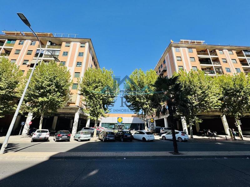 Foto bc759cf6-b86a-4b8e-afcf-9bdaedb44f54. Piso en Tres Olivos-La Piedad Talavera de la Reina