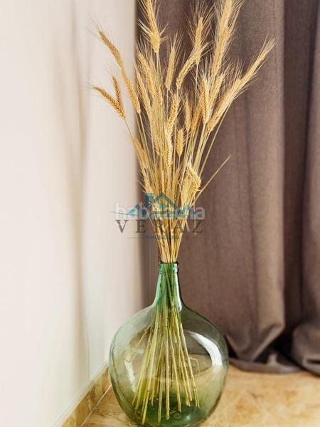 Foto 28a8c986-41c6-4061-8b91-6b7fd9707c4f. Alquiler casa adosada en Lucillos