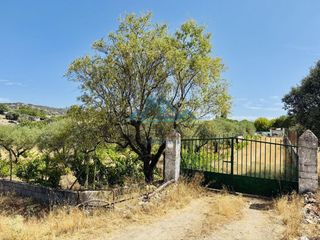 Finca rústica  Diseminado. Terreno en urbanización los cervines