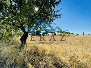 Propriété à Calera y Chozas. Veraz inmobiliaria vende parcela de regadío de 7000 m² en la veg