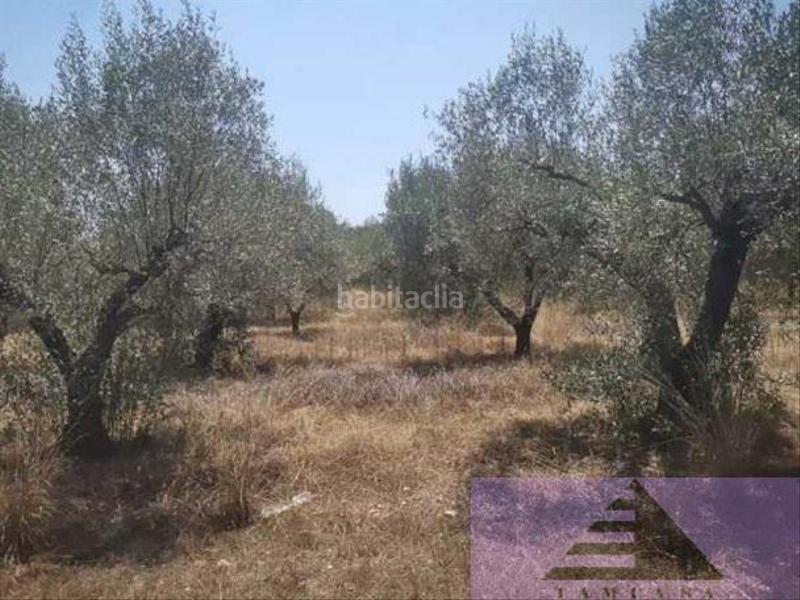 Foto 14464d03-5ae0-4774-9259-ba610ae13a6b. Terreno residencial en pt Cala Puntal terreno en Cala Puntal Vinaròs