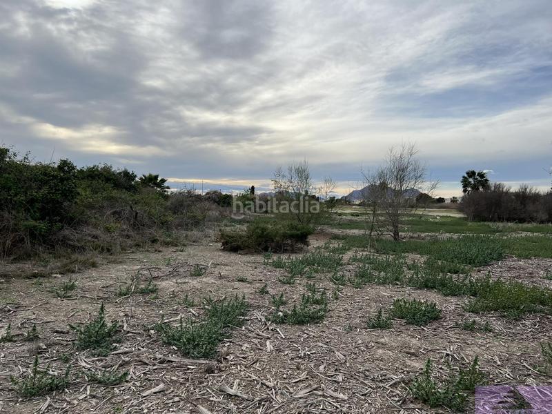 Foto 2b9dce84-4cbf-485f-84f0-ef1d9e7f4617. Residential plot in doctor maranon 68 in Almoradí