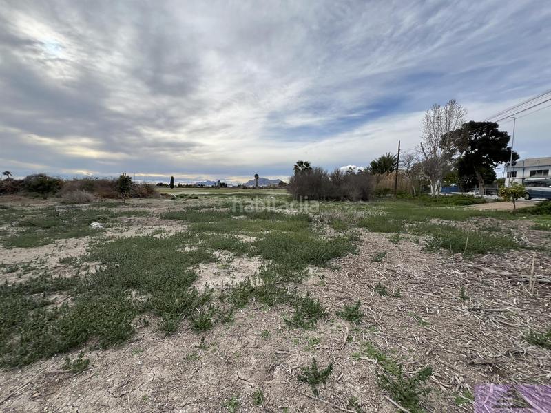 Foto 49d956fe-d2bc-4e5a-b7a8-bc43633940b1. Residential plot in doctor maranon 68 in Almoradí