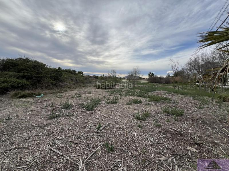 Foto 7c675398-deeb-4697-8f99-dc2741dcffd2. Residential plot in doctor maranon 68 in Almoradí