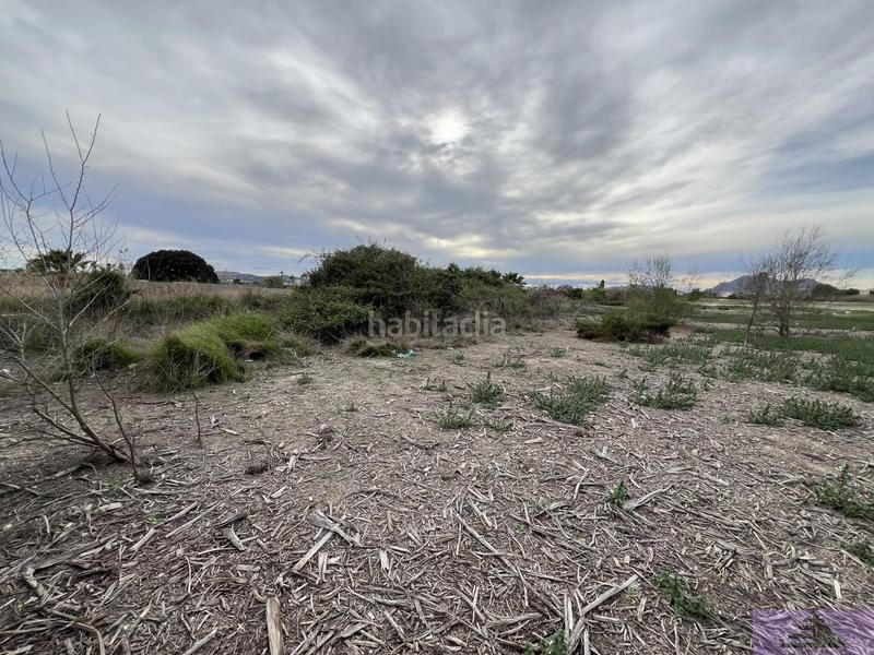 Foto 8e2e2a62-f816-4f6f-bf42-15cee8a10aa2. Residential plot in doctor maranon 68 in Almoradí