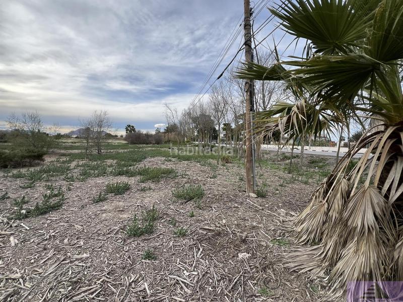 Foto b19f221d-efdf-497f-b14e-e3ff1ff43798. Residential plot in doctor maranon 68 in Almoradí