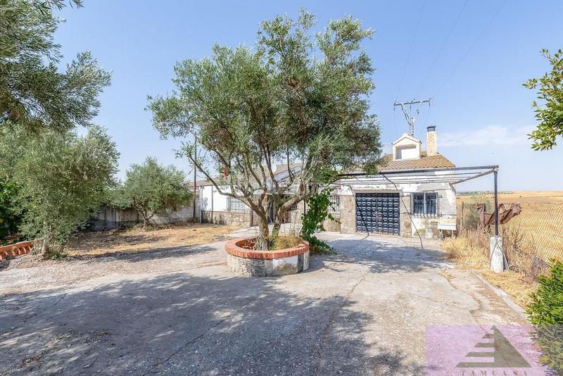 Foto 6ca6392a-a80a-48ad-b775-93573650569b. Xalet amb calefacció a Lominchar