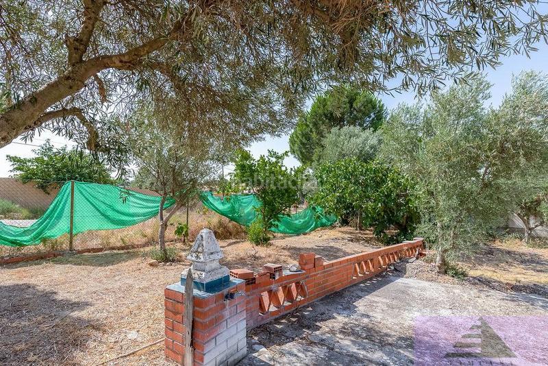 Foto 7f219812-219a-487e-847a-80e3fd343a57. Xalet amb calefacció a Lominchar