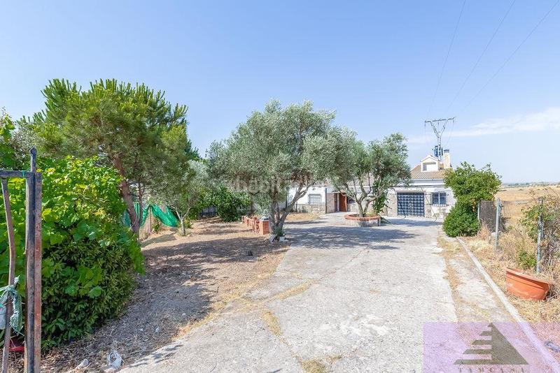 Foto 8d48dea1-9c0e-4a7b-92af-de18219923c8. Xalet amb calefacció a Lominchar