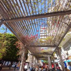 Appartamento  Calle alvarez sereix