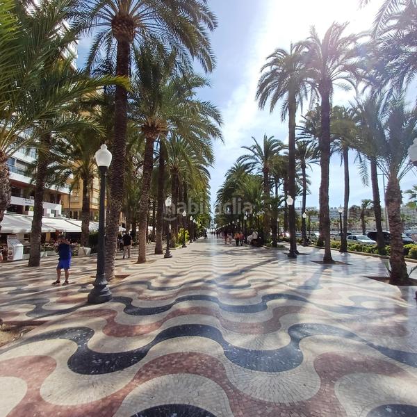 Foto f3fa8148-563b-417e-b0f2-0b6fca78d902. Piso amplio piso en venta con vistas inmejorables. en Alicante