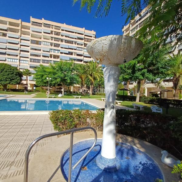 Foto 11270221-02fa-4723-92d7-7ec30510445e. Piccolo appartamento in holanda 14 in Playa de San Juan Alicante