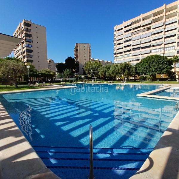 Foto 4423fba6-7230-4059-9cee-74a178c5b948. Piccolo appartamento in holanda 14 in Playa de San Juan Alicante