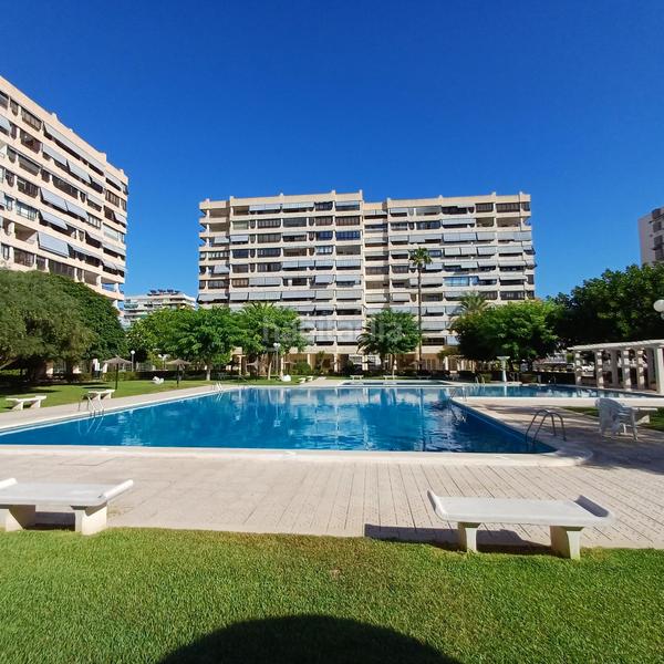 Foto 53b06764-2f9a-49de-8eb0-5968f9824110. Piccolo appartamento in holanda 14 in Playa de San Juan Alicante