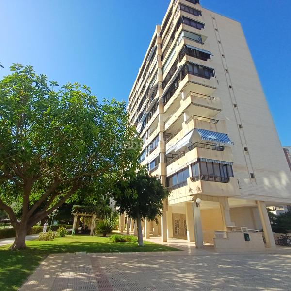 Foto 5caf6eca-17a9-438e-83e5-a4a3f1db6916. Piccolo appartamento in holanda 14 in Playa de San Juan Alicante