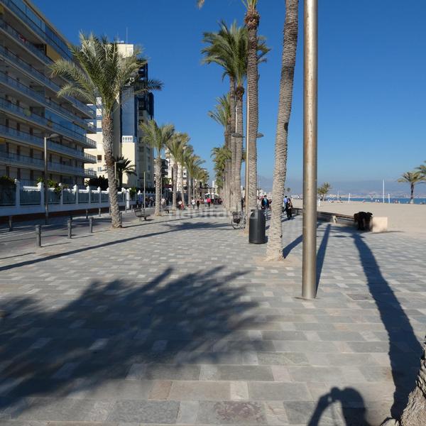 Foto 7585f613-6d3a-43c6-8f38-6cfff082adec. Piccolo appartamento in holanda 14 in Playa de San Juan Alicante