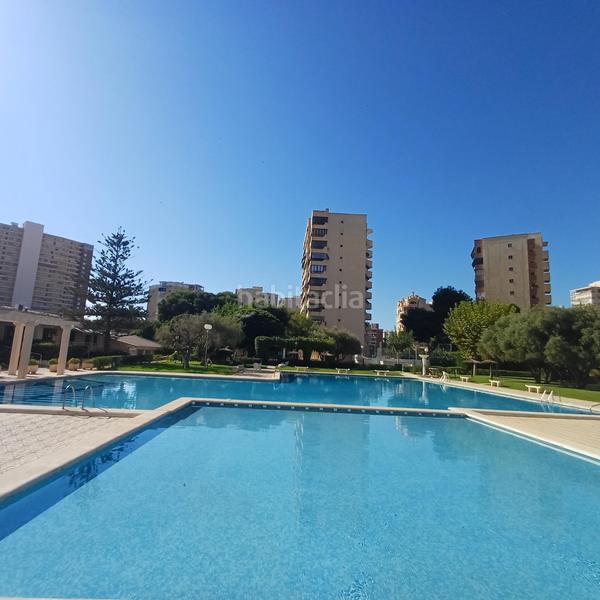 Foto d32368d5-5222-433f-a15f-bae4317f272f. Piccolo appartamento in holanda 14 in Playa de San Juan Alicante
