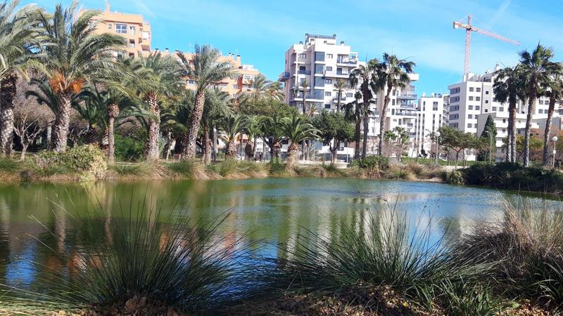 Foto 66d74558-6d27-4a96-9b39-674e29c3bdbd. Appartement dans costa blanca 113 dans Playa de San Juan Alicante