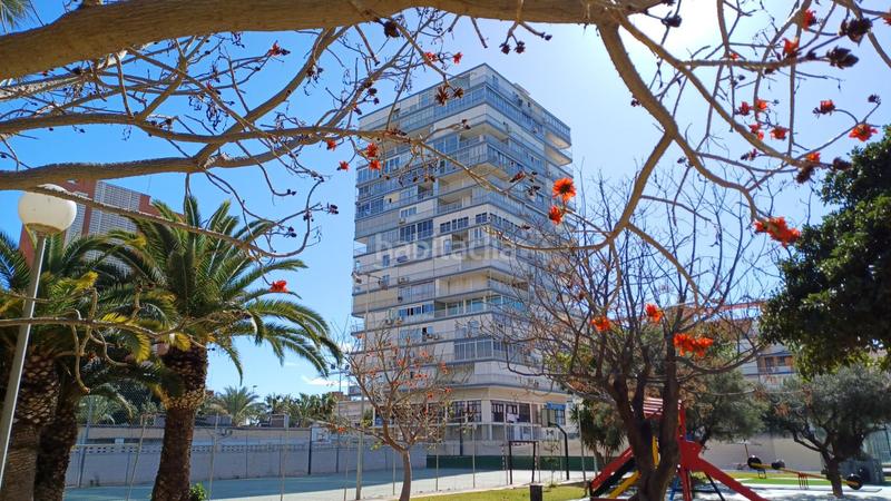 Foto 84c34e44-4660-44d5-bf79-ff82a1250d7e. Appartement dans costa blanca 113 dans Playa de San Juan Alicante