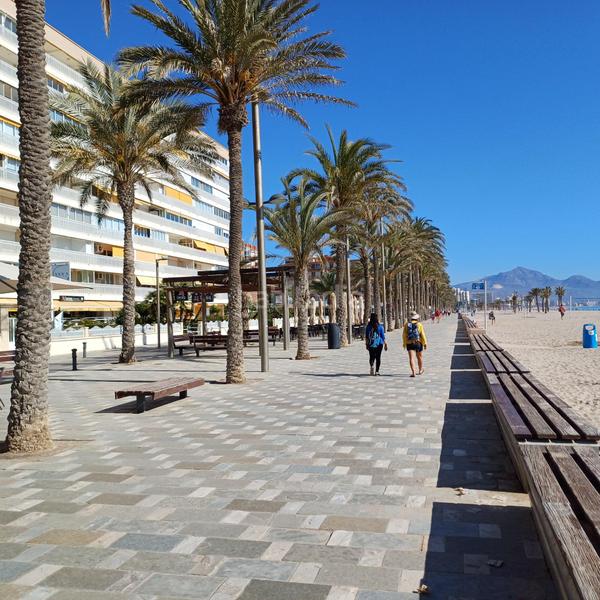 Foto 978bf0f8-6a04-415a-a1a8-1d521693d4e3. Appartement dans costa blanca 113 dans Playa de San Juan Alicante