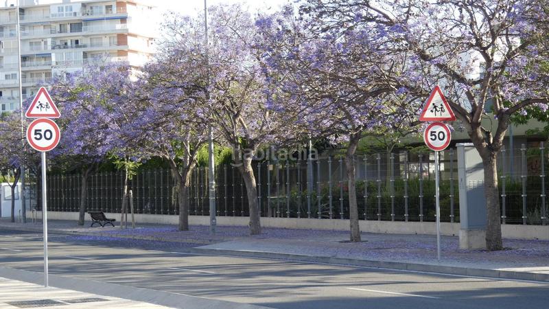 Foto c1cfcd6f-71fe-4409-9876-d8f9457579c2. Rent apartment with parking pool in Alicante golf Alicante