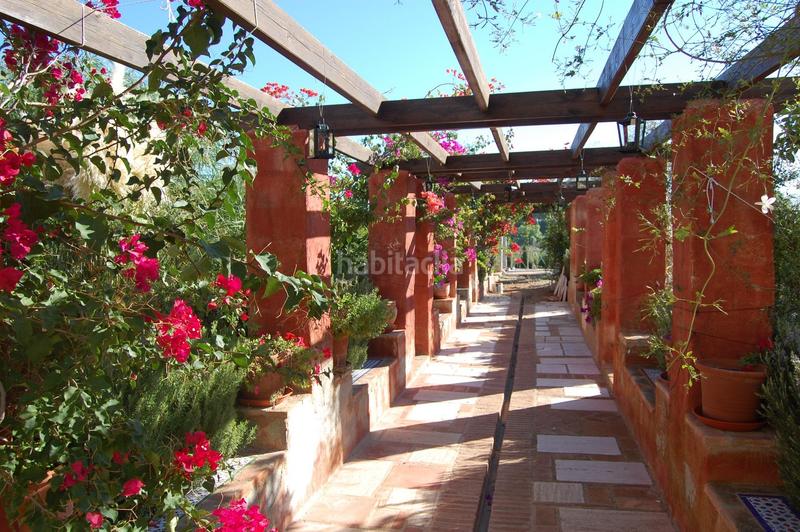 Foto 98635c45-9cc0-4813-bb52-647effaadca0. Xalet amb aparcament a Pedanías Este Aspe