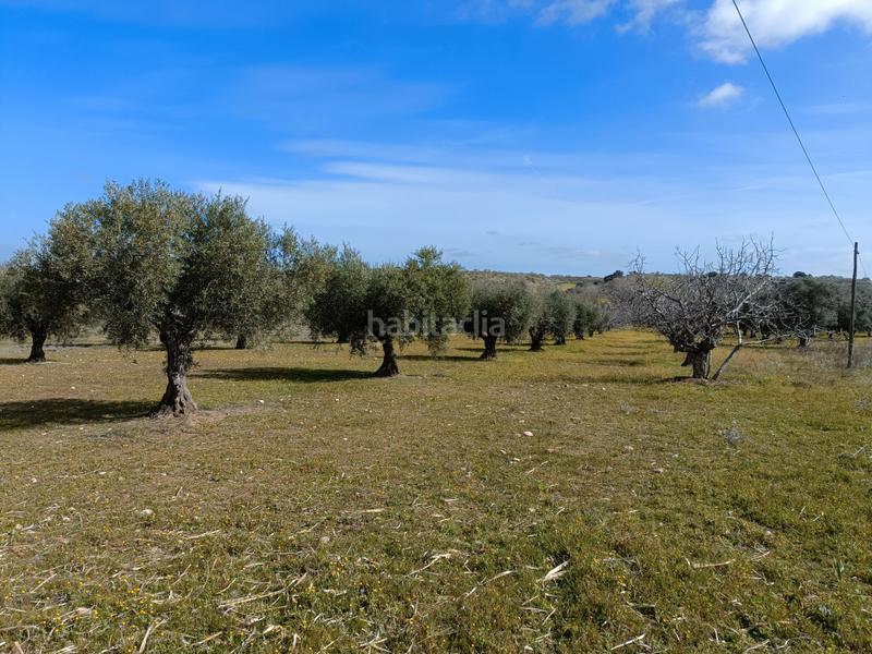 Foto 4e0eaafe-fb32-4d99-9749-ad7fb5c60f04. Finca rústica a Lucillos