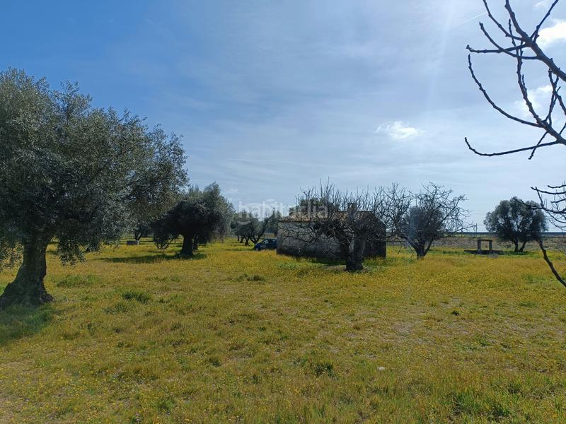 Foto 91e31346-692e-4645-bb4d-bd79a327e57e. Finca rústica a Lucillos