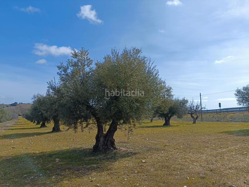 Foto b0a34153-7c48-4eda-b1dd-20fb1a634689. Finca rústica a Lucillos