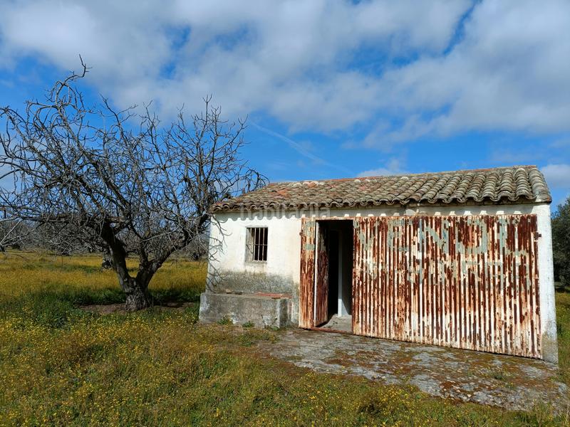 Foto c8dc0ce0-d8ad-4365-b62e-4405da8567e1. Finca rústica a Lucillos