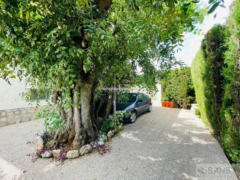 Foto fbddb8d7-9f2d-4692-b5ae-1c5e97a6a3d0. Mas dans Pedreguer